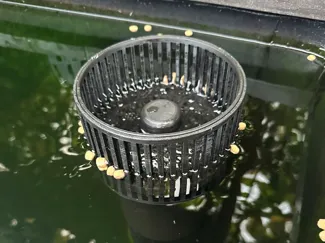 Pond Skimmer
