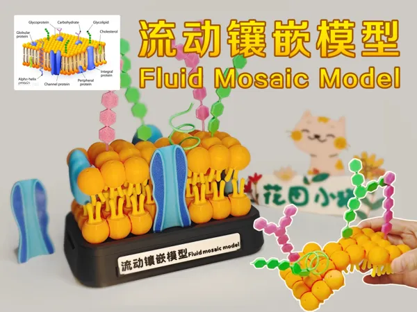 https://makerworld.bblmw.com/makerworld/model/USc7c20ba7d11f96/design/2024-08-09_fd08bea1fbc89.jpg