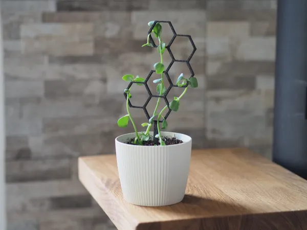 https://makerworld.bblmw.com/makerworld/model/USc7c950778cb92/design/2025-01-08_570216cd9f40f.jpg