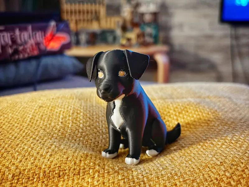 Cute black doggo