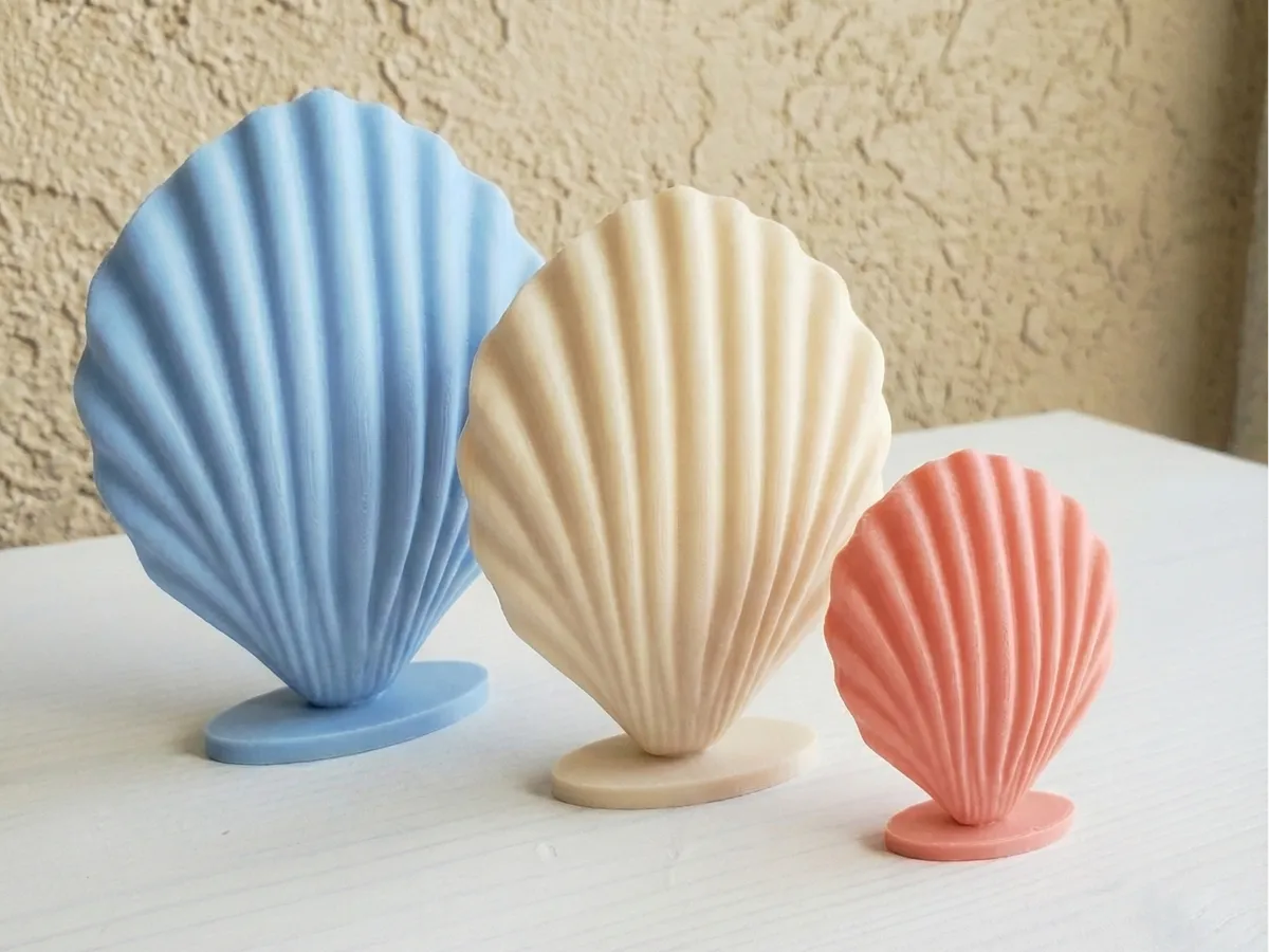 Elegant Standing Seashell Minimalist Coastal Decor - Free 3D Print ...