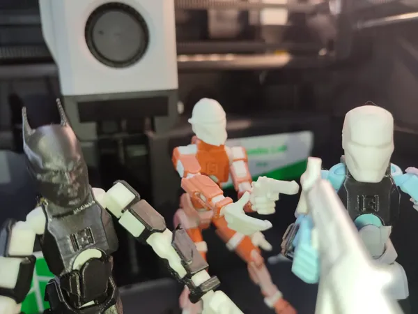 https://makerworld.bblmw.com/makerworld/model/USc7e057283f1dd6/design/2024-08-17_2908b052703cc.webp