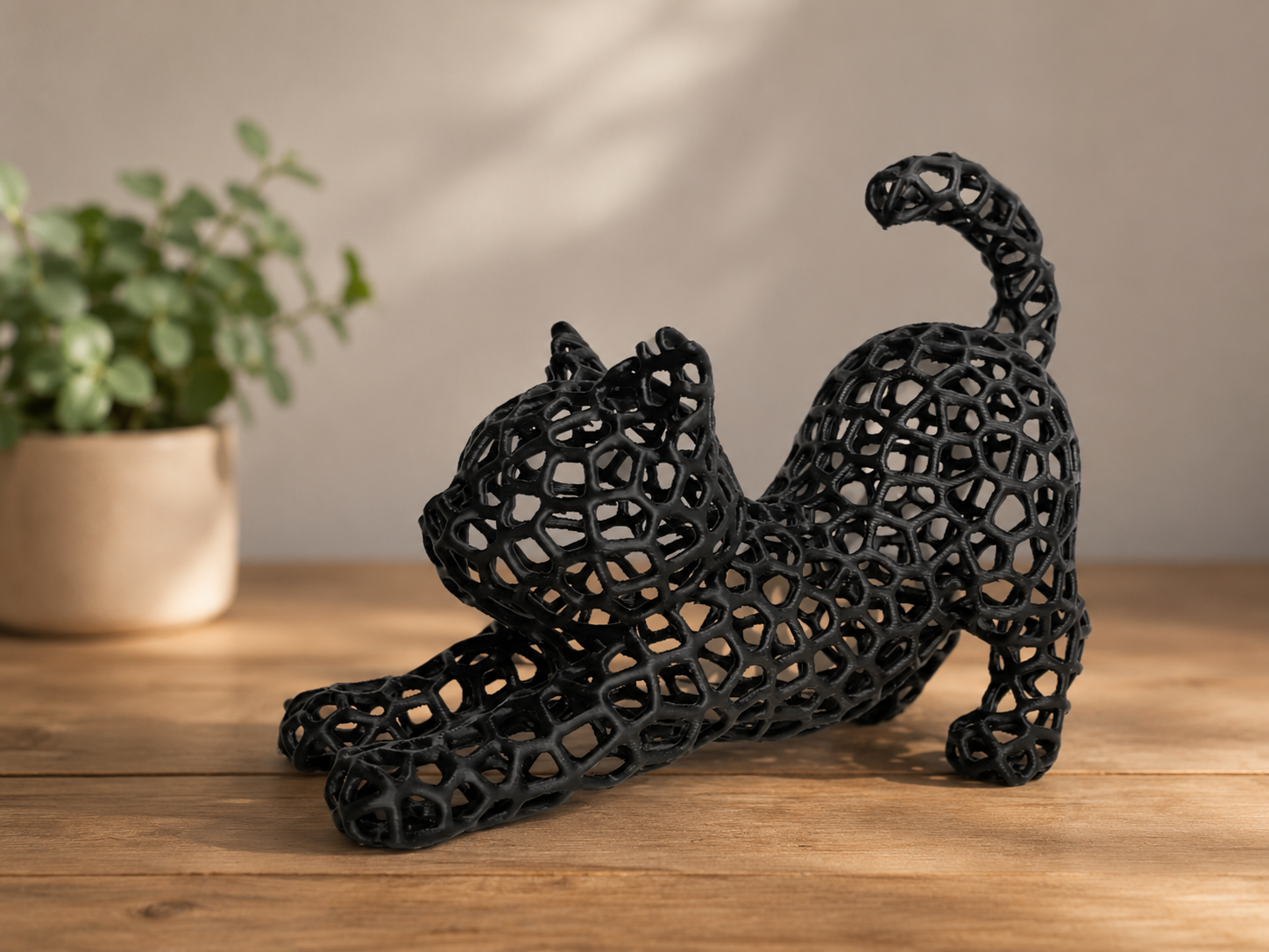 Cat Voronoi Stretch