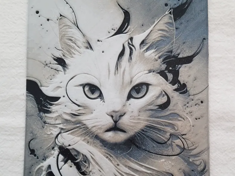 Black and Gray Cat 1