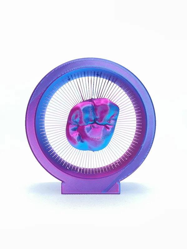 https://makerworld.bblmw.com/makerworld/model/USc7ea1d84cb1b47/design/2024-03-17_15aa40976cf7.jpeg
