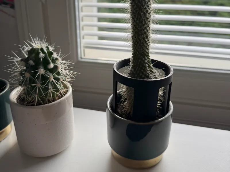 Cactus / plant holder 