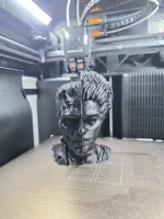 0.12mm layer, 2 walls, 6% infill