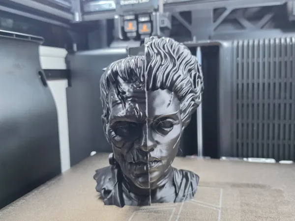 https://makerworld.bblmw.com/makerworld/model/USc7eff6d6780b84/design/9576a0023e9e88ef.jpg