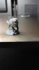 Wolf companion