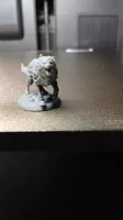 Wolf companion