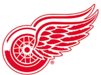 red wings sign that you can hang