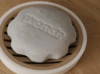 soap dish (wondr)