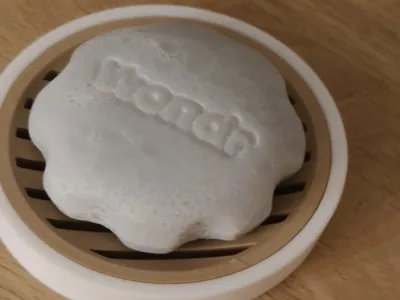 soap dish (wondr)