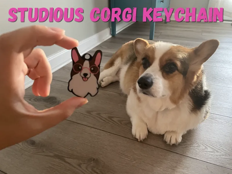 Studious Corgi Keychain