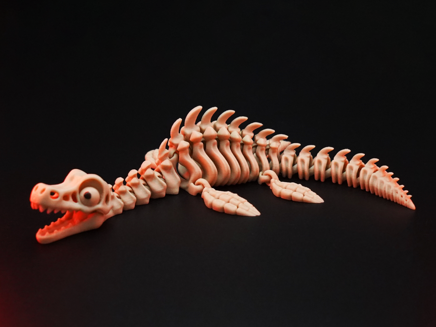 Articulated Skeletal Plesiosaurus - 1