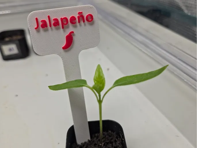 Jalapeño Plant Label