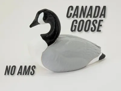 Canada Goose