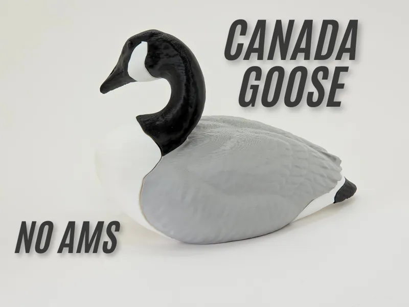 Canada Goose