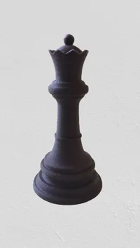 Reine d'échecs (norme FIDE) — photo 2