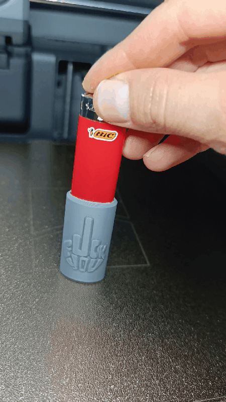BIC MINI SLEEVE F_UCK YOU