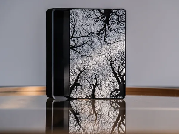 https://makerworld.bblmw.com/makerworld/model/USc80e0d0e5b46ed/design/50cbef48833ec16b.jpg