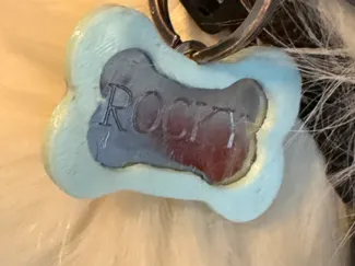 Bone Dog Tag Name Silencer