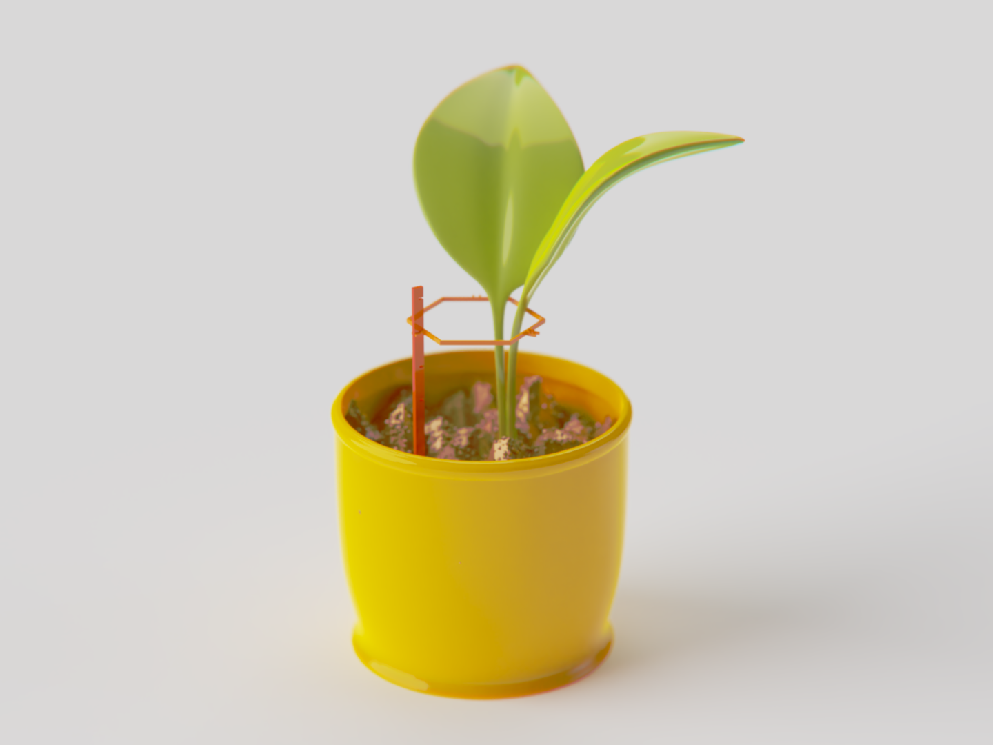 Flower Stem Plant Support Garden height control 