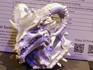 Dragon trophy