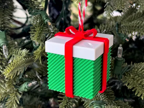 https://makerworld.bblmw.com/makerworld/model/USc80fe7b29eace8/design/2024-12-23_bdc29a1fb27638.jpg