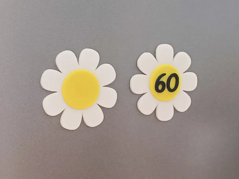 Daisy magnet with birthday number