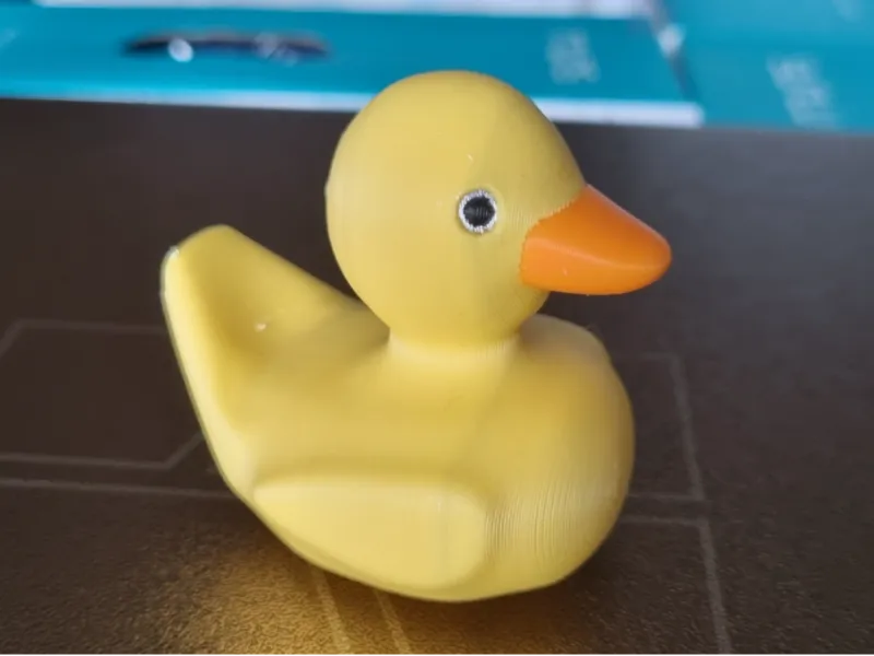 Ugly Duckly