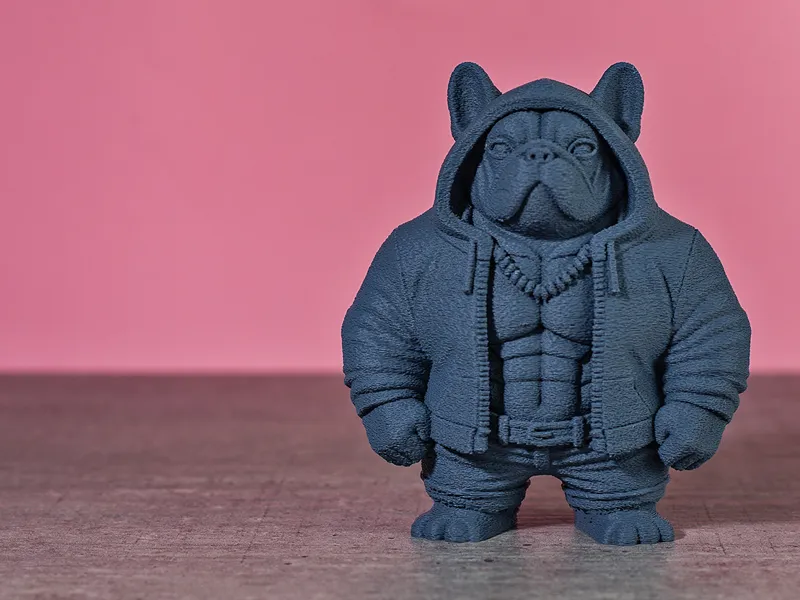 Bully Gang V10 Mr. Rock Französische Bulldogge