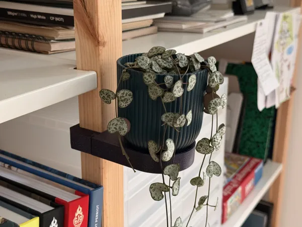 https://makerworld.bblmw.com/makerworld/model/USc81a3001cc2c28/design/aa91350ae6bbe03a.jpeg