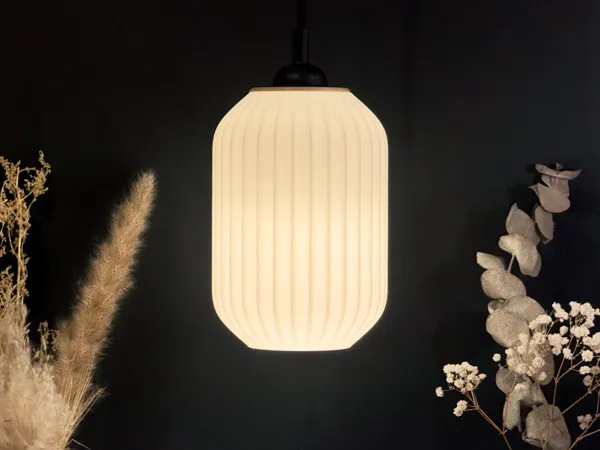 https://makerworld.bblmw.com/makerworld/model/USc81b9649ca80f2/design/2025-01-21_0887e53d98bb5.jpeg