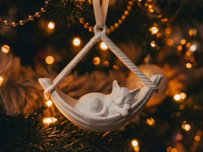 Cat on a Hammock