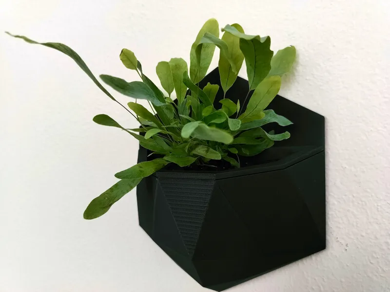 Low Poly Hexagonal Wall Planter