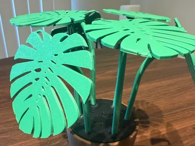 Monstera Plant Coaster Set
