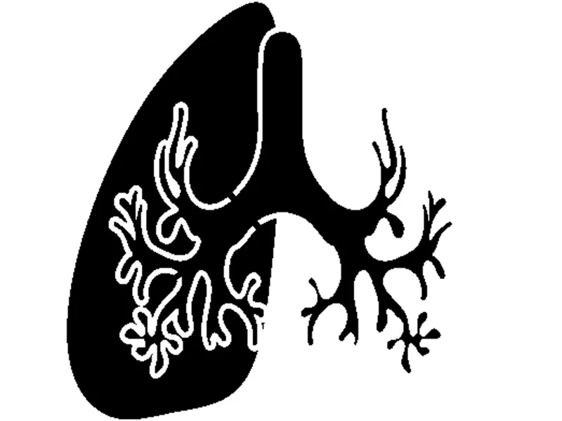 Respiratory Lung Silhouette