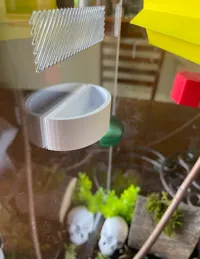 Gamelle eau/nourriture pour terrarium — photo 1