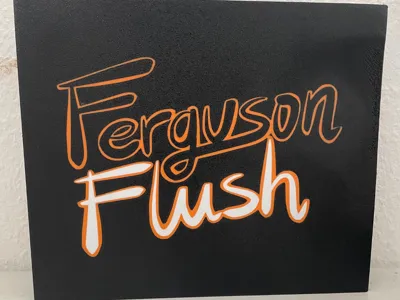 Ferguson Flush Light box