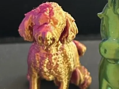 Dog poodle 3d model