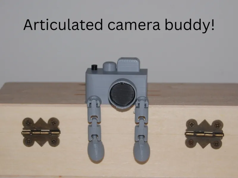 articulated camera buddy