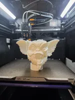 0.2mm layer, 2 walls, 6% infill