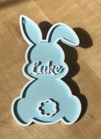 Color 0.2mm layer, 2 walls, 15% infill