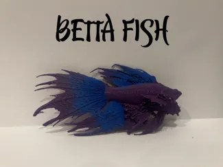 Betta Fish