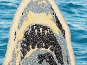 JAWS Magnet