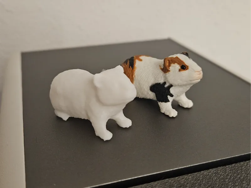 Guinea pig - Meerschweinchen