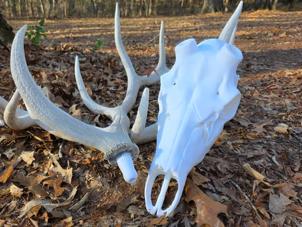 https://makerworld.bblmw.com/makerworld/model/USc8587ab61ff4a1/design/2025-12-29_658532d7b4006.jpg