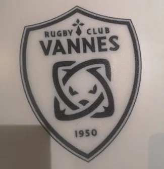 Logo RCV 2 couleurs