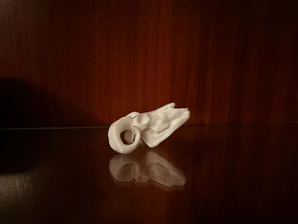 https://makerworld.bblmw.com/makerworld/model/USc8607a829f102/design/2024-12-26_a1e169fa6de45.jpeg